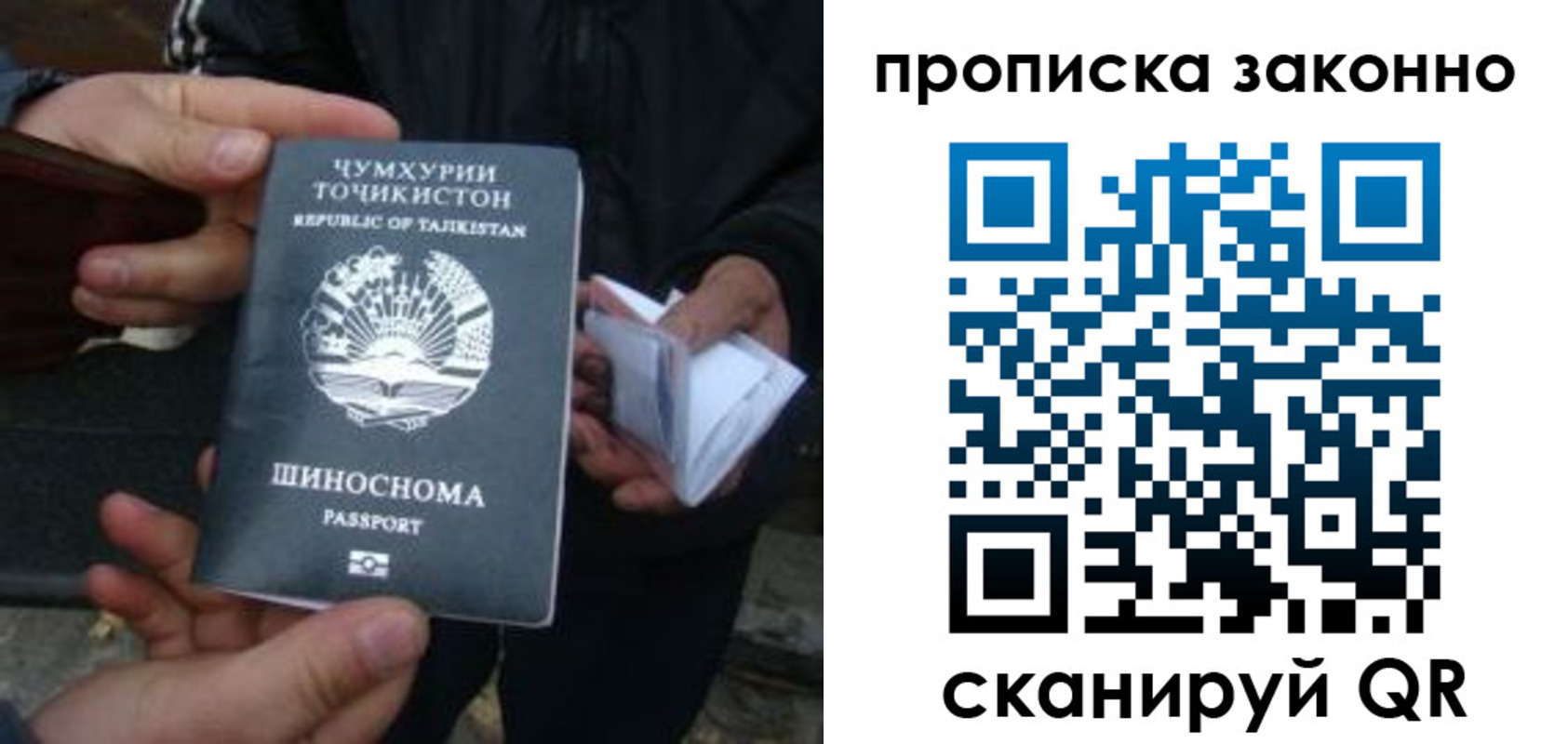прописка для школы в Владикавказе